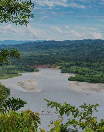 Manu National Park | Cusco y Madre de Dios