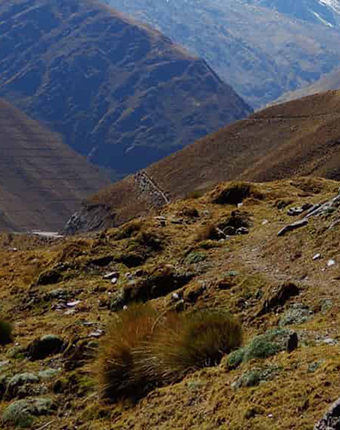 Abra Málaga | Cusco