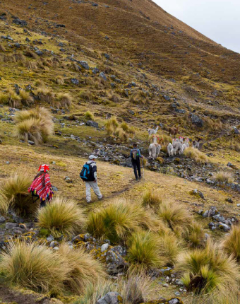 Lares | Cusco