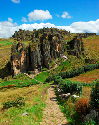 Bosque de Piedra | Pasco