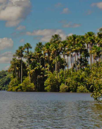 Tambopata National Reserve | Madre de Dios