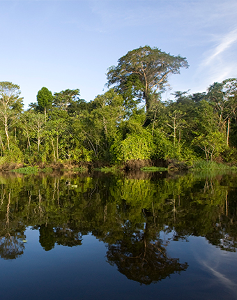 Reserva Nacional Pacaya Samiria - Loreto