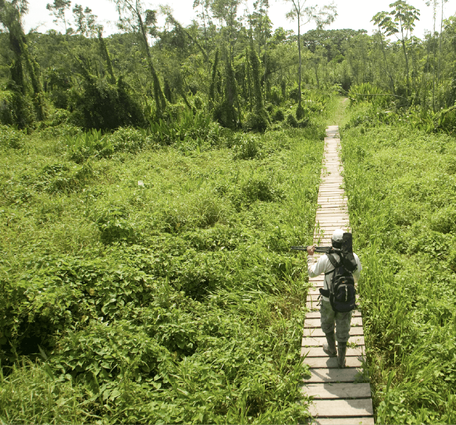 Trámite de Visas para Producciones Extranjeras en Perú